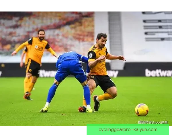 英超狼队状态回暖，近期表现稳健冲击联赛前列